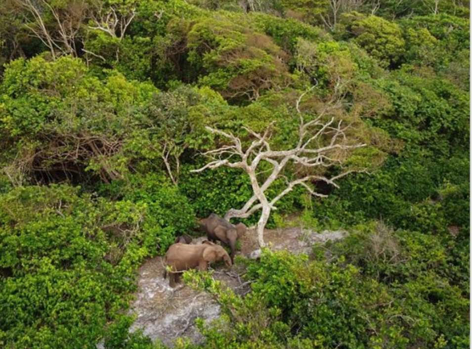 Screenshot_20221204-095725_Samsung Internet